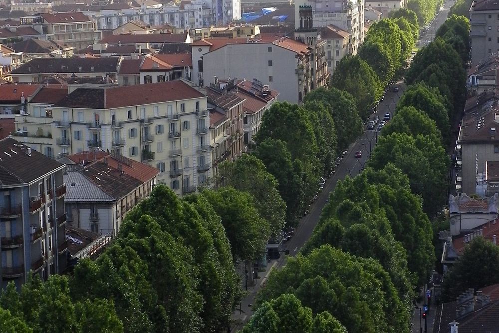 Veduta di Torino